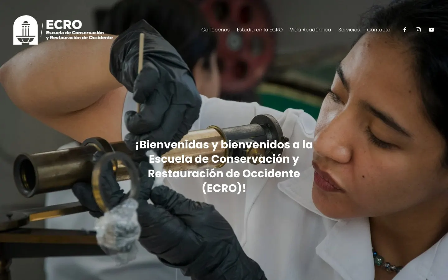 Die Website von ECRO