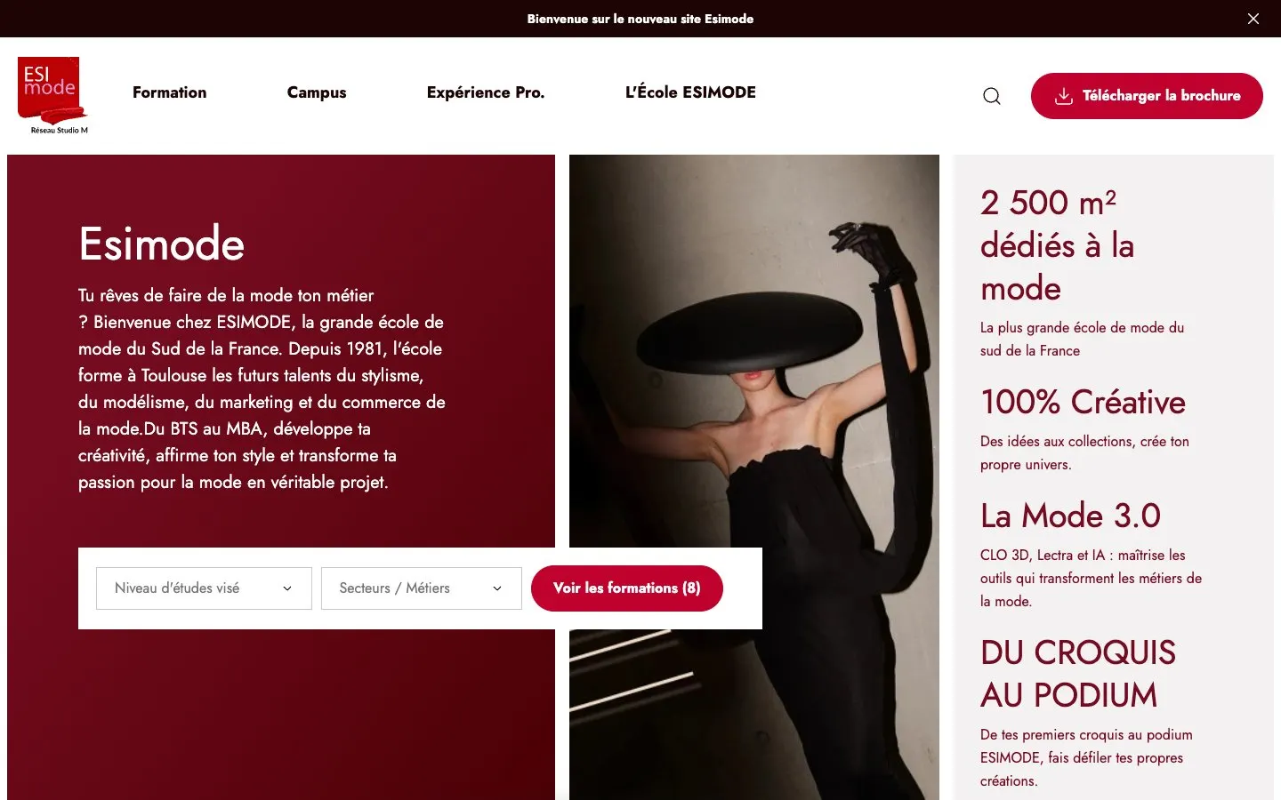 Die Website von ESIMODE