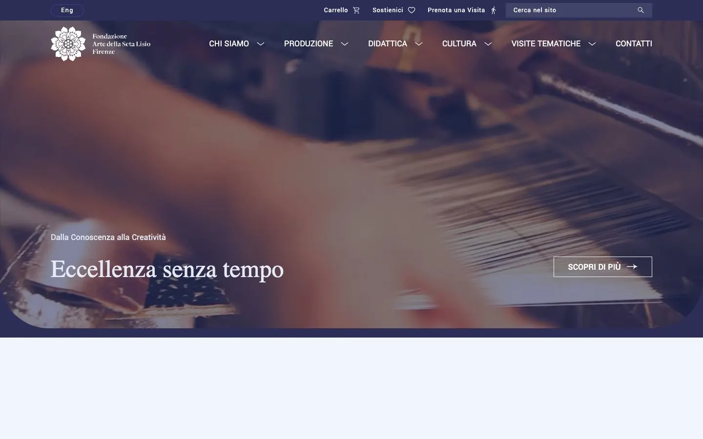 Fondazione Lisio 的网站