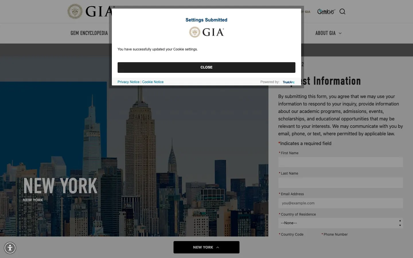 Die Website von GIA New York