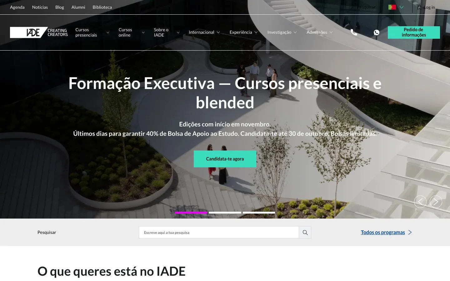 Die Website von IADE