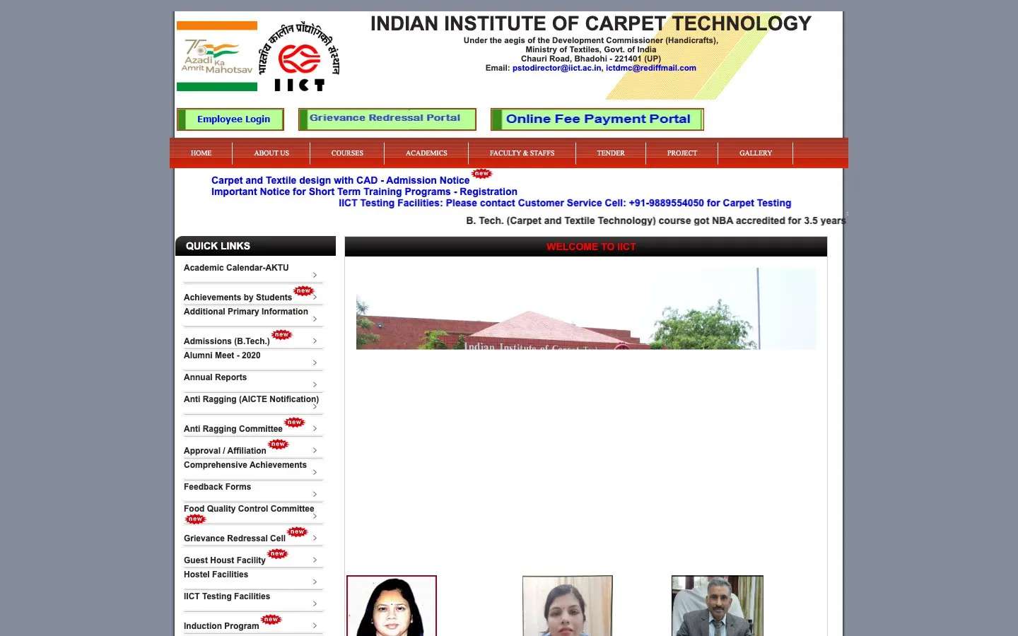 Il sito di Indian Institute of Carpet Technology (IICT)