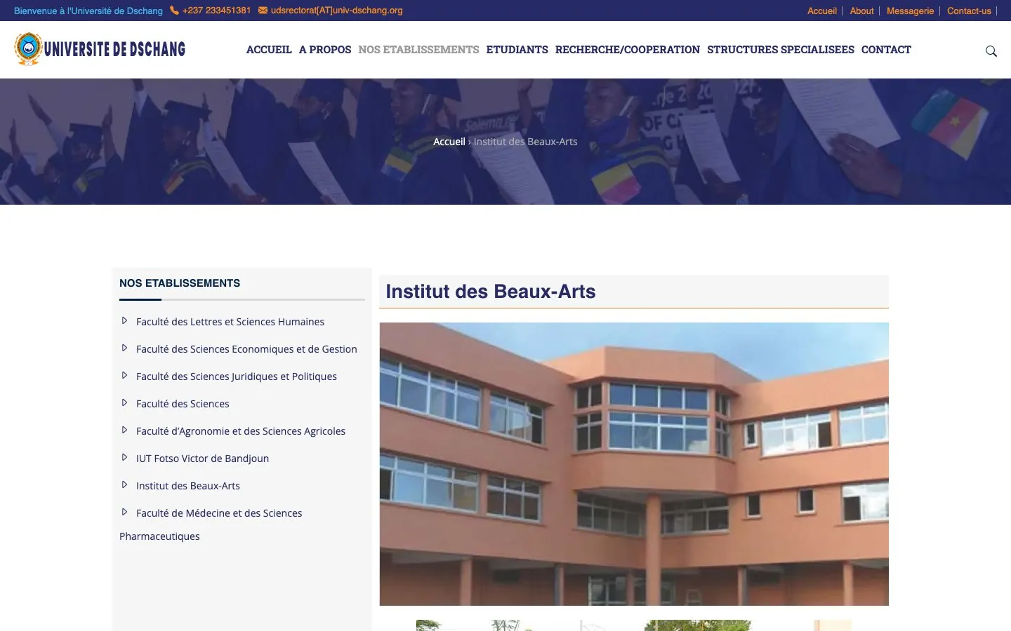 The website of Institut des Beaux-Arts de Foumban