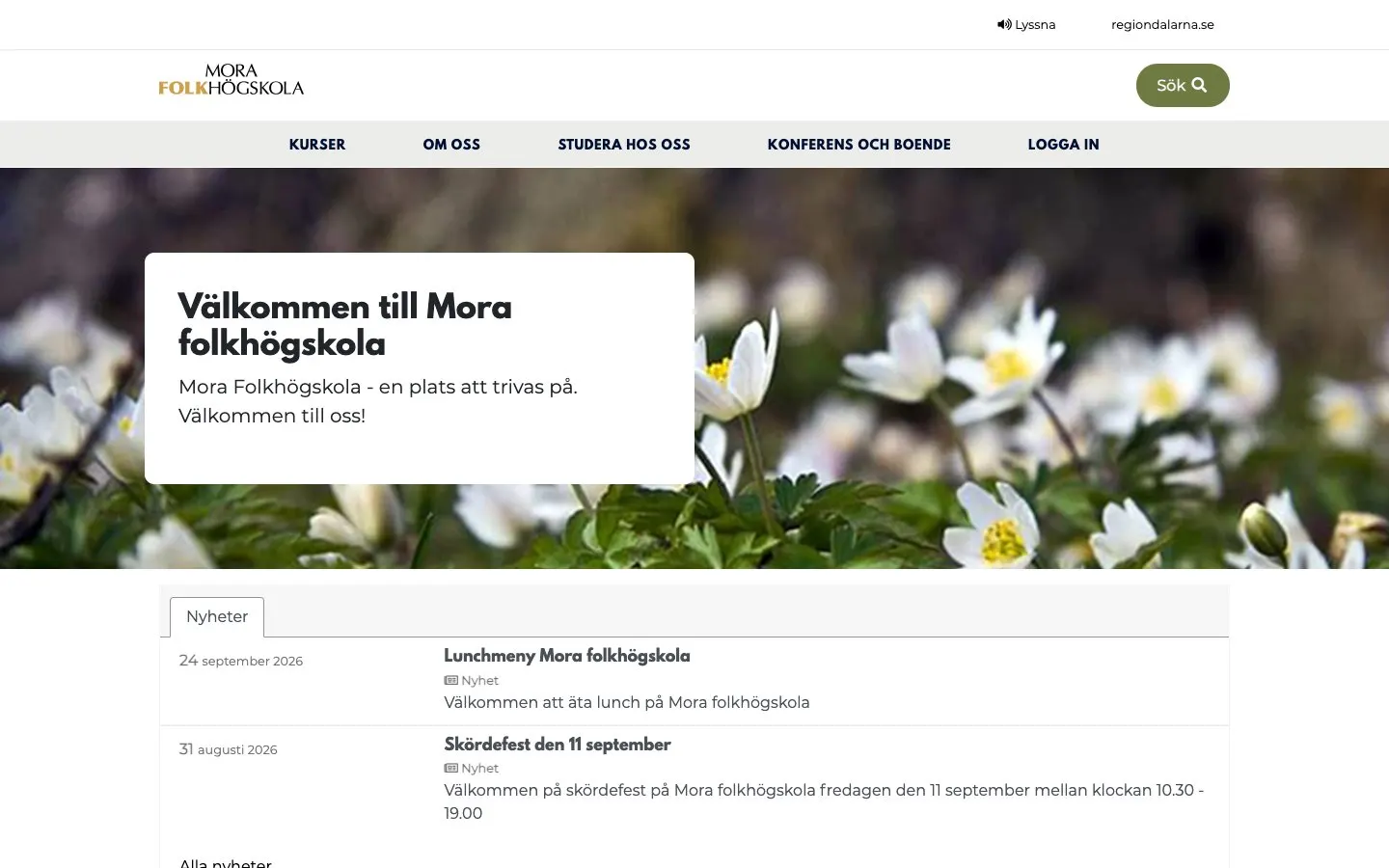The website of Mora folkhögskola