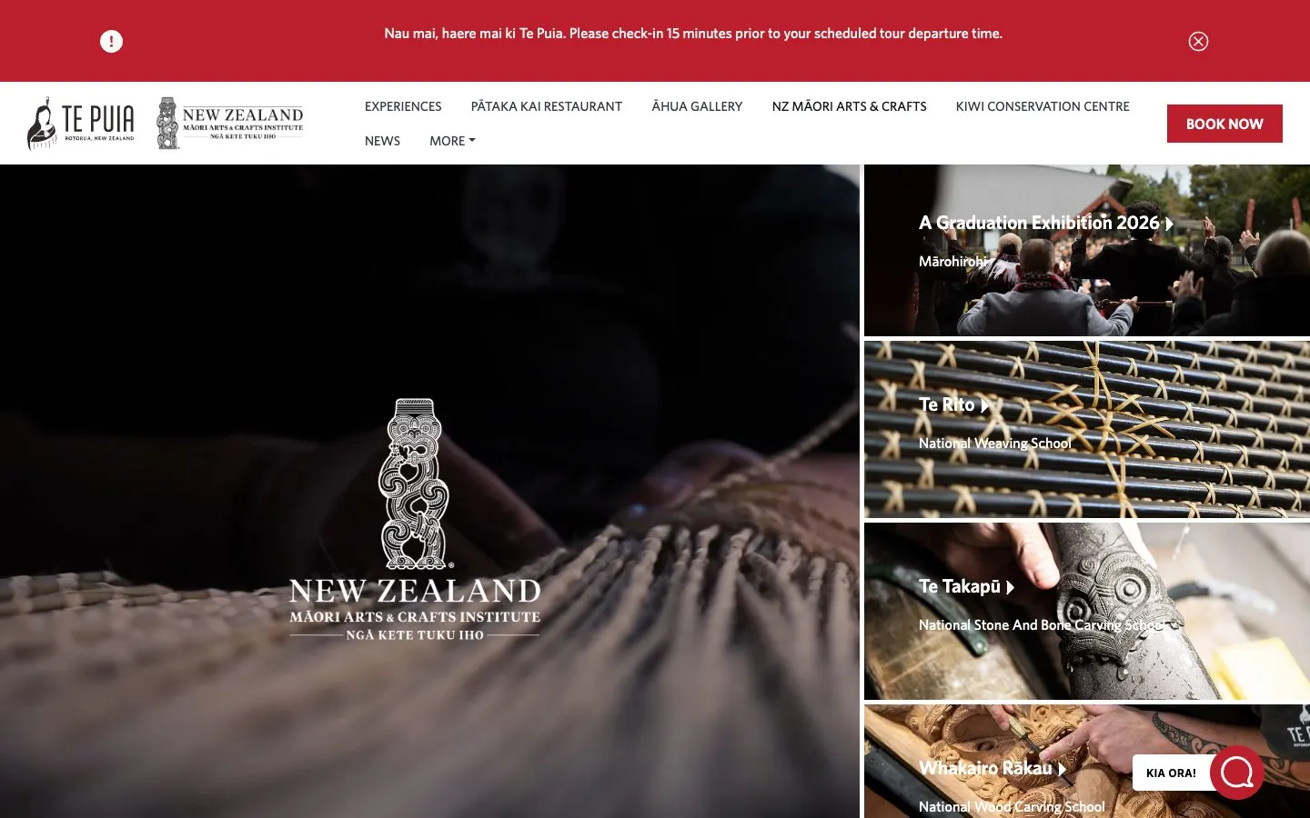 The website of NZ Māori Arts and Crafts Institute (Te Puia)
