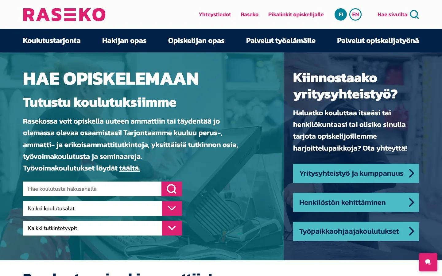 Die Website von Raseko