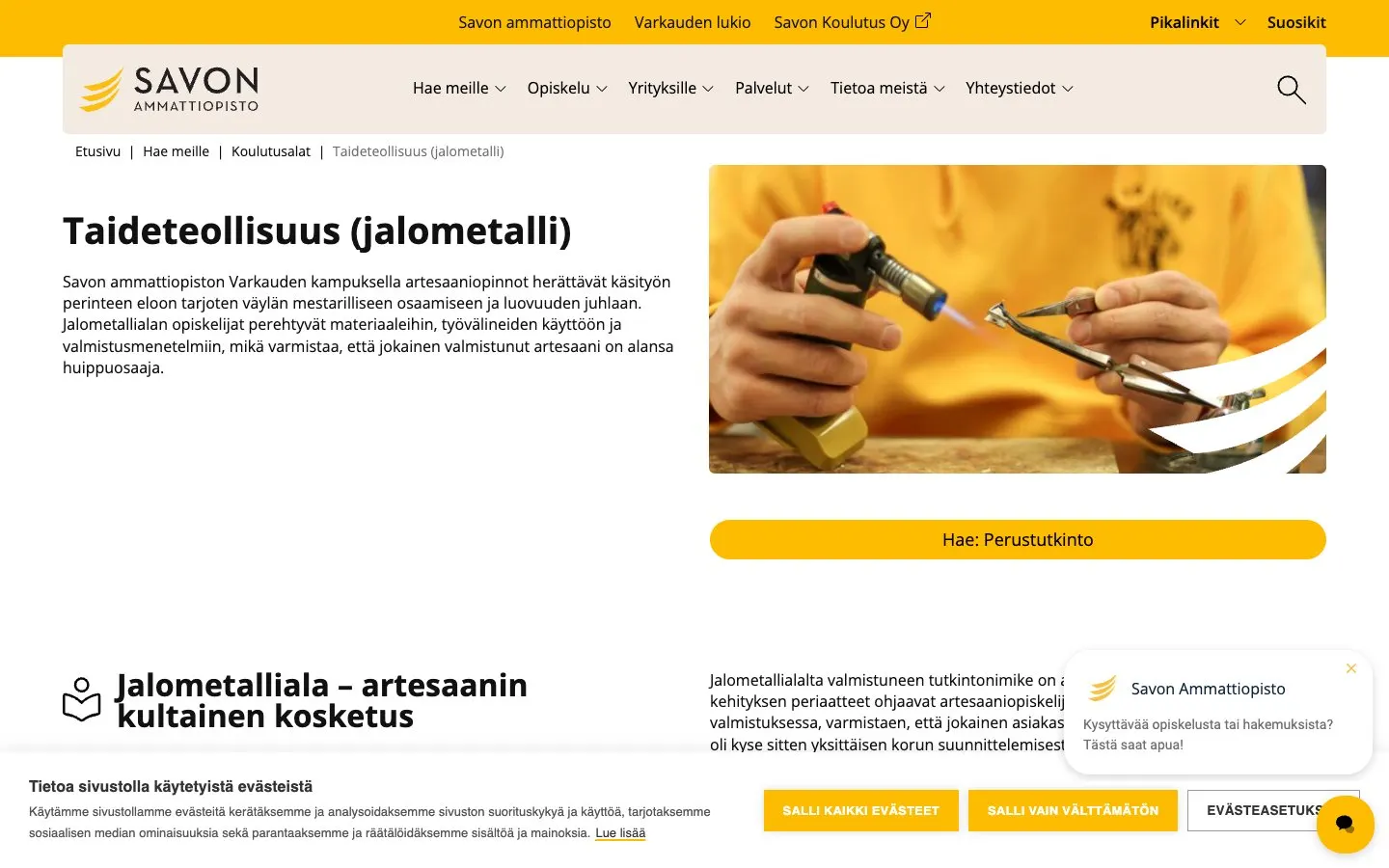 Die Website von Savon ammattiopisto – Varkauden kampus (jalometalliala)