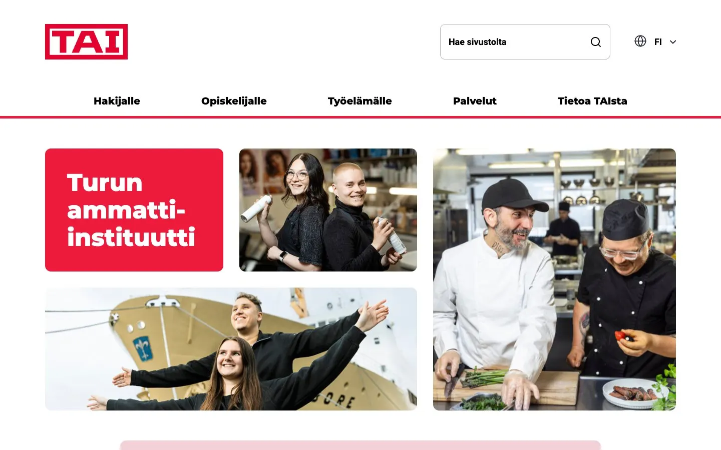 Die Website von Turun ammatti-instituutti (TAI)