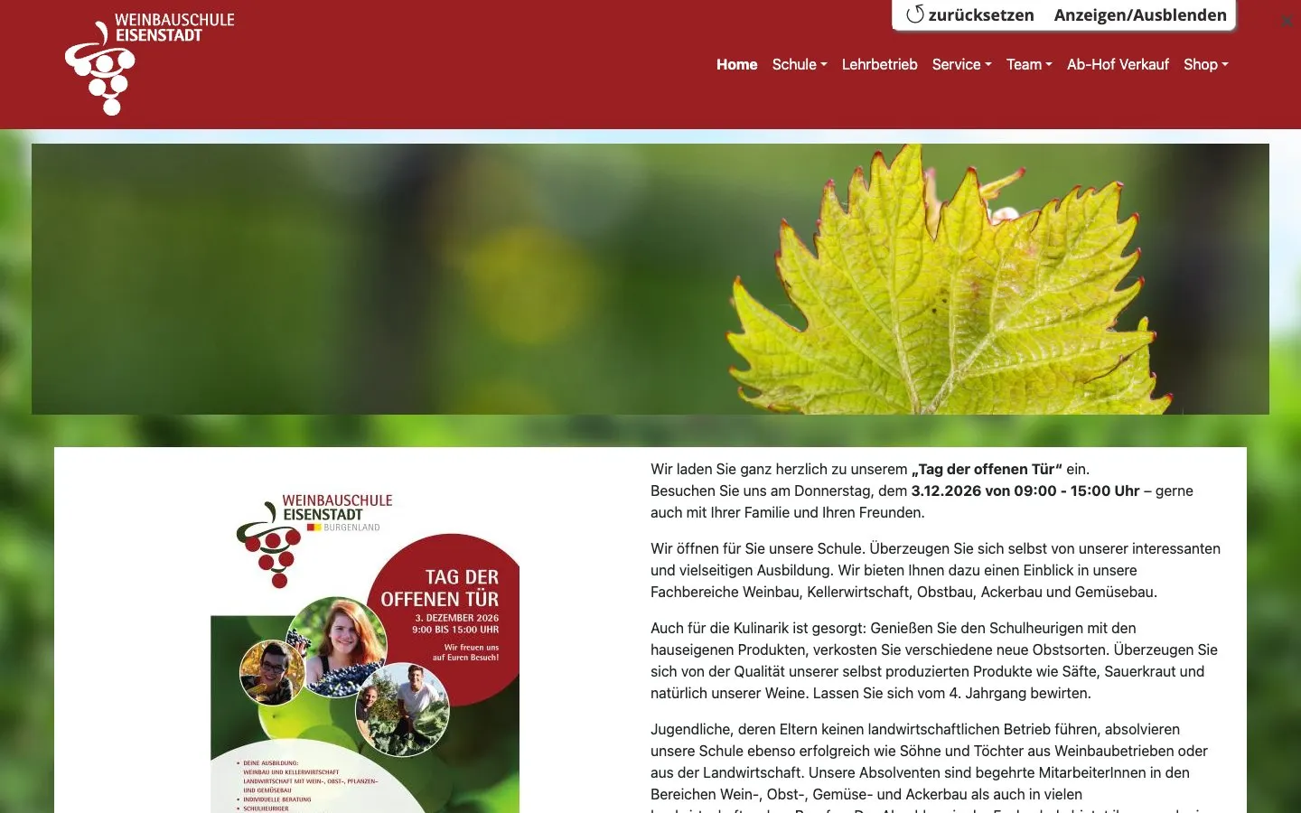 The website of Weinbauschule Eisenstadt