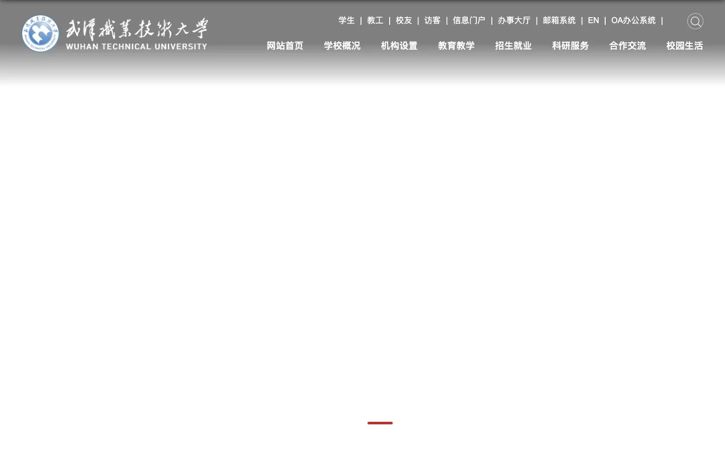 The website of 武汉职业技术大学